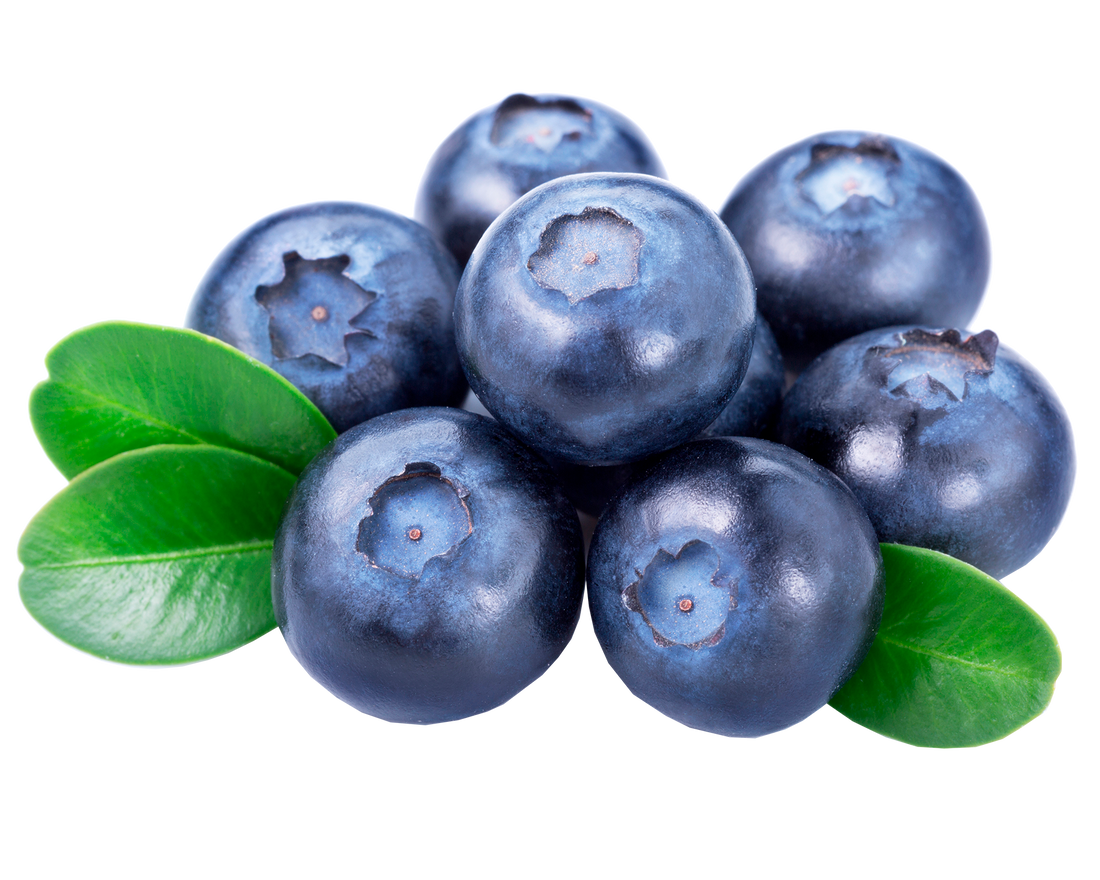 Beneficios De Las Blueberries O Arándanos Azules Zb Distribuciones