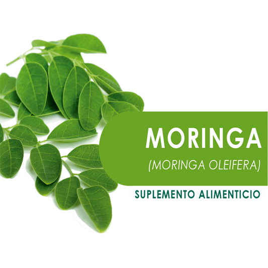 MORINGA  90 Cápsulas de 500mg c/u bolsa ziplock